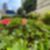 54ª imagem do imóvel