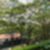 43ª imagem do imóvel