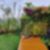 34ª imagem do imóvel