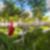 34ª imagem do imóvel