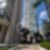 51ª imagem do imóvel