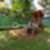 26ª imagem do imóvel