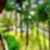 20ª imagem do imóvel