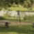 16ª imagem do imóvel