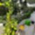 19ª imagem do imóvel