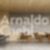 21ª imagem do imóvel