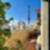 39ª imagem do imóvel