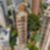 26ª imagem do imóvel