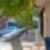 13ª imagem do imóvel