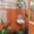22ª imagem do imóvel