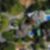 4ª imagem do imóvel