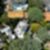 70ª imagem do imóvel