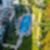 10ª imagem do imóvel