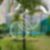 34ª imagem do imóvel