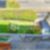 30ª imagem do imóvel