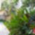 44ª imagem do imóvel