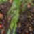 21ª imagem do imóvel