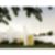 13ª imagem do imóvel