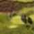 17ª imagem do imóvel