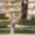2ª imagem do imóvel