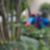 30ª imagem do imóvel