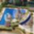 33ª imagem do imóvel
