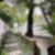 22ª imagem do imóvel