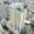 24ª imagem do imóvel