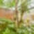 20ª imagem do imóvel