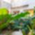 26ª imagem do imóvel