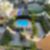 18ª imagem do imóvel