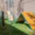 45ª imagem do imóvel
