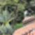 26ª imagem do imóvel