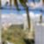 28ª imagem do imóvel