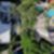 19ª imagem do imóvel