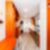 17ª imagem do imóvel