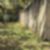 4ª imagem do imóvel