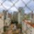 19ª imagem do imóvel