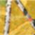 11ª imagem do imóvel