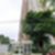 44ª imagem do imóvel