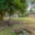 13ª imagem do imóvel