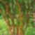 4ª imagem do imóvel