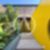 2ª imagem do imóvel