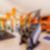 45ª imagem do imóvel