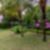 60ª imagem do imóvel