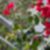 21ª imagem do imóvel