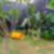 33ª imagem do imóvel
