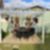 23ª imagem do imóvel
