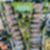 51ª imagem do imóvel