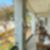29ª imagem do imóvel